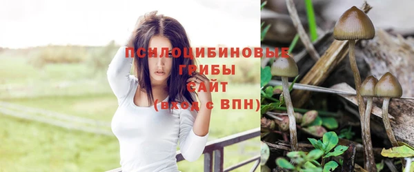 эйфоретик Абаза