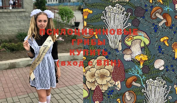 мяу мяу мука Абинск